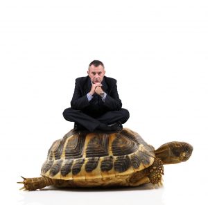 man on turtle